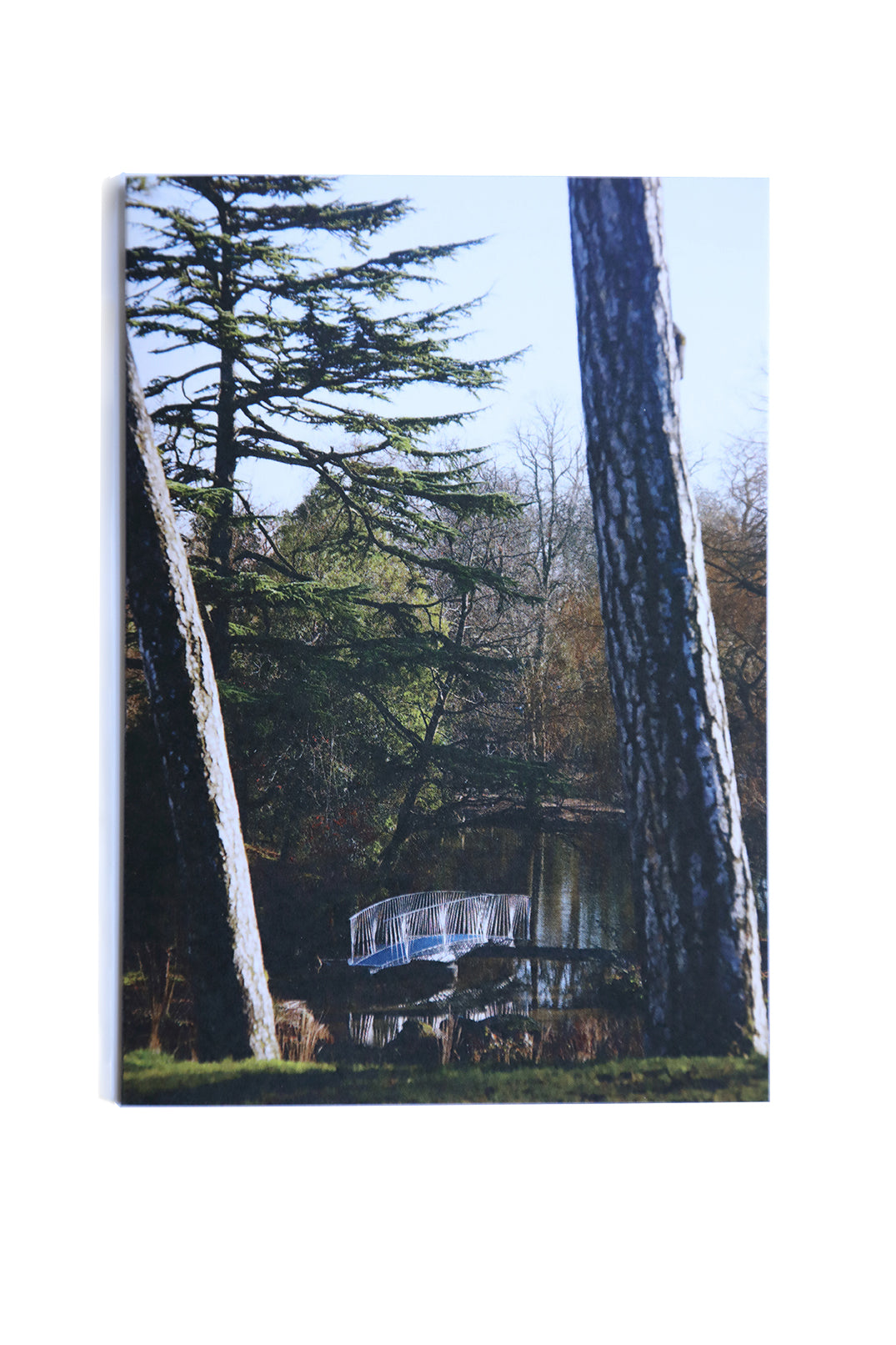 Dinosaur Bridge 1, greetings card