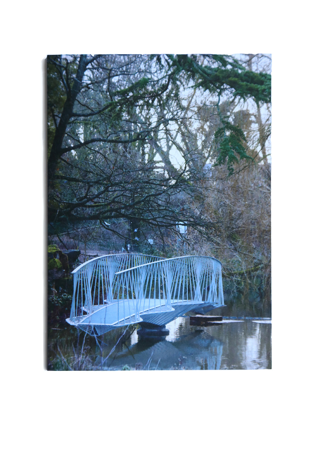 Dinosaur Bridge 2, greetings card